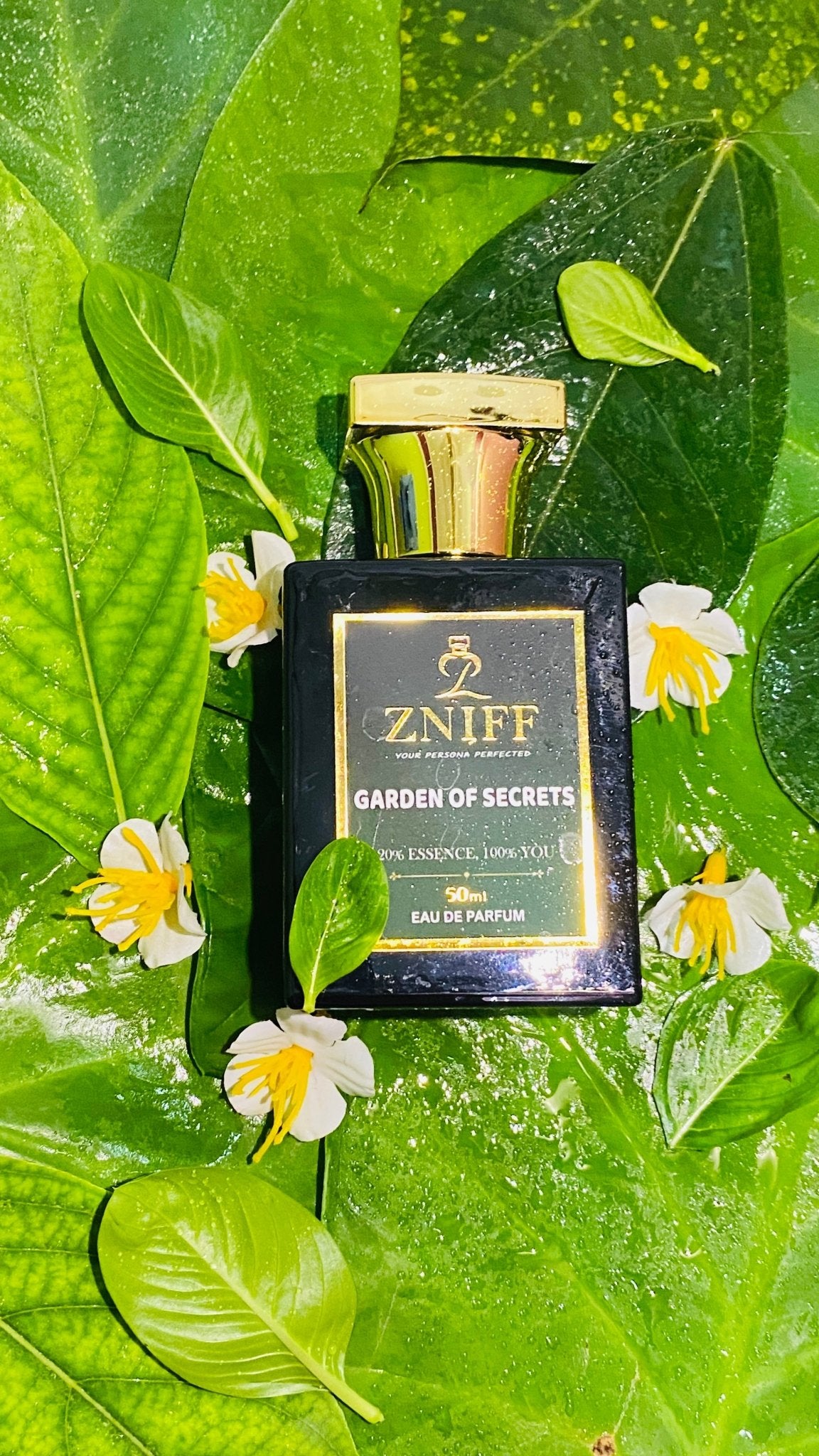 Zniff Garden of Secret(50ml) | Unisex Perfume | Long - Lasting Fragrance | Classic Scent for Daily Wear & Special Occasions | Perfect Gift | Sophisticated & Refreshing - Zniff - Fragrance