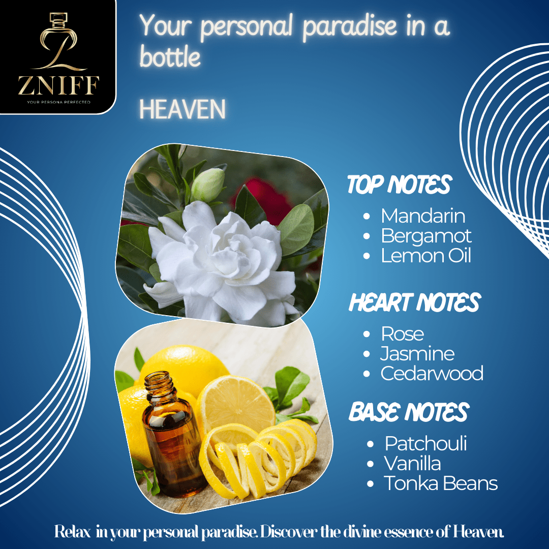 Zniff Heaven Perfume for Women 100 ml | Captivating Floral Fragrance | Long - Lasting Scent for Daily Wear & Special Occasions | , Refreshing Perfume for Women | Ideal Gift for Her - Zniff - Fragrance